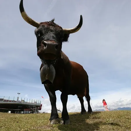 La Cordee 4 - Access - De Glace Complex Nendaz