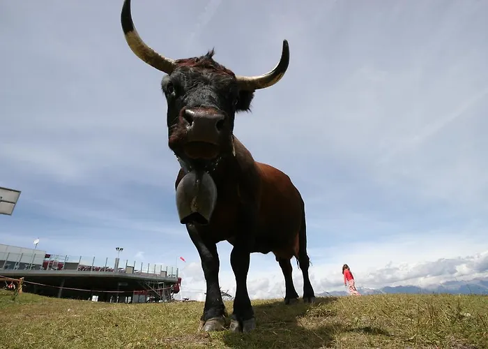 La Cordée 4 - Access - De Glace Complex Nendaz